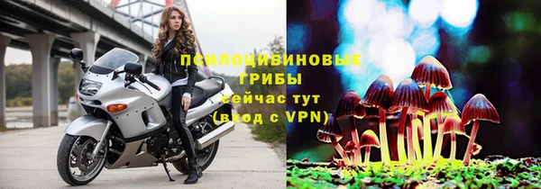 мет Аркадак